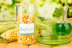 Lytchett Minster biofuel availability